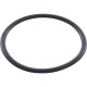 O-Ring, Zodiac Nature2, Lock Ring : W151201