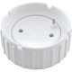 Cell Cap, Zodiac Clearwater C-Series, Electrode Side : W192021