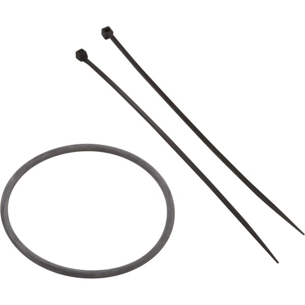 Port Sensor, Zodiac Nature2 Fusion, 25 foot, with O-Ring : R0476400