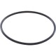 O-Ring, Zodiac Jandy AquaPure 2-Port, 2" Union : R0412700