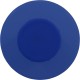 Spa Disinfector Bottom Load Blue       Rainbow 335 : 27052-019-000