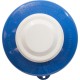 Tablet Dispenser, Pentair 332, Pool/Spa, 1" Tabs, Floating : R171130