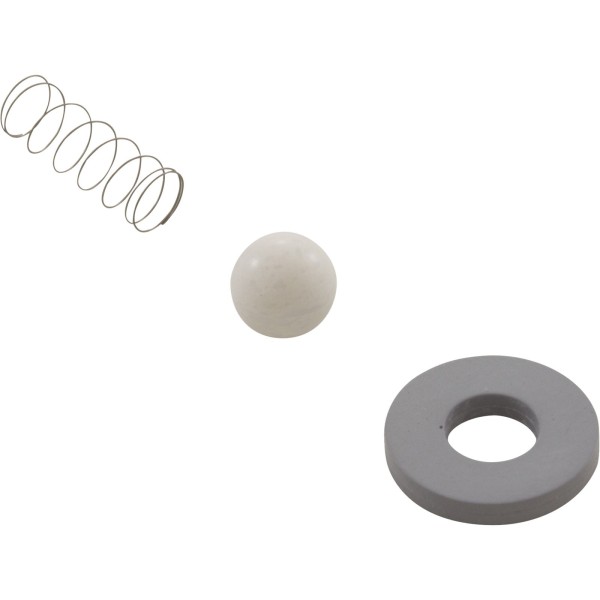 Rebuild Kit, Mazzei, Check Valve Number 978/C83P : CR-3