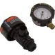Tank Lid, Pentair Purex CFM/SMBW-4060 : 197137