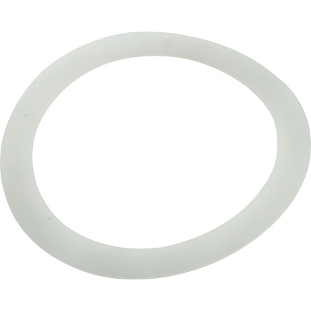 Adapter Washer, Pentair PacFab : 195004