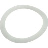 Adapter Washer, Pentair PacFab : 195004