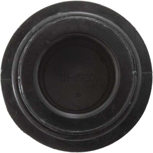 Drain Plug Assembly, Waterway Clearwater : 500-5300