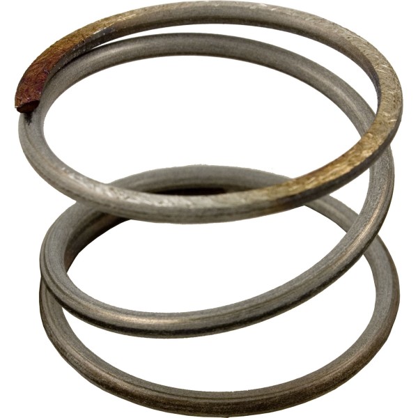 Compression Spring, Pentair American Products CLN/CLR/DE : 178616