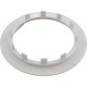 Safety Flange, Pentair Rainbow DFM, White : R172691
