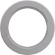 Safety Flange, Pentair Rainbow DFM, White : R172691