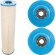 Cartridge, Raypak Protege RPCFP150/152 : 018243F