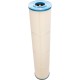 Cartridge, Raypak Protege RPCFP150/152 : 018243F