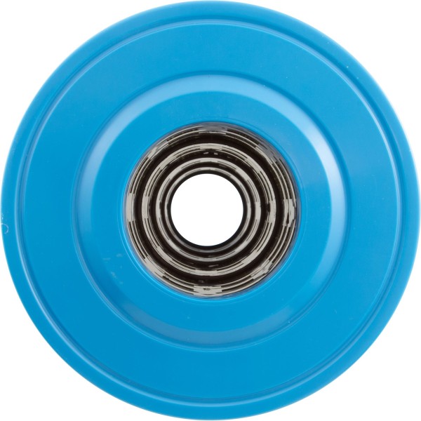 Cartridge, Raypak Protege RPCFP150/152 : 018243F