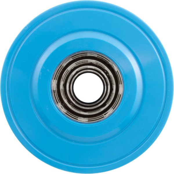 Cartridge, Raypak Protege RPCFP150/152 : 018243F