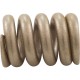 Spring, Pentair, Triton C-3, Closure : 154582