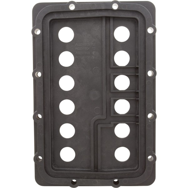 Manifold Backplate Kit, Zodiac Jandy JXi 400 : R0590005