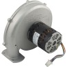 Blower Kit, Pentair MasterTemp 300, LP : 460758