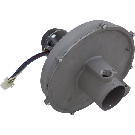 Blower Kit, Pentair MasterTemp 300, Nat. : 460757