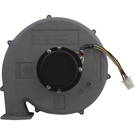 Blower Kit, Pentair MasterTemp 300, Nat. : 460757