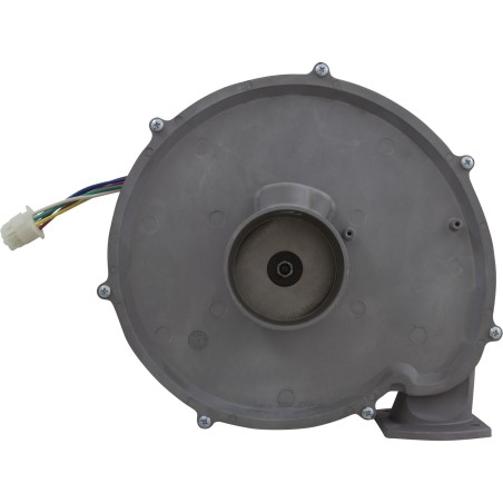 Blower Kit, Pentair MasterTemp 300, Nat. : 460757