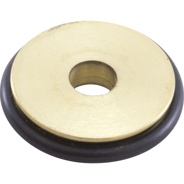 Orifice, Pentair MasterTemp 200/Max-E-Therm 200, Nat. : 77707-0431