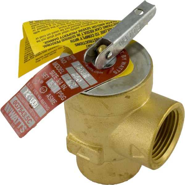 Relief Valve, Pentair Minimax Plus/PowerMax, 3/4" : 072138