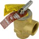 Relief Valve, Pentair Minimax Plus/PowerMax, 3/4" : 072138