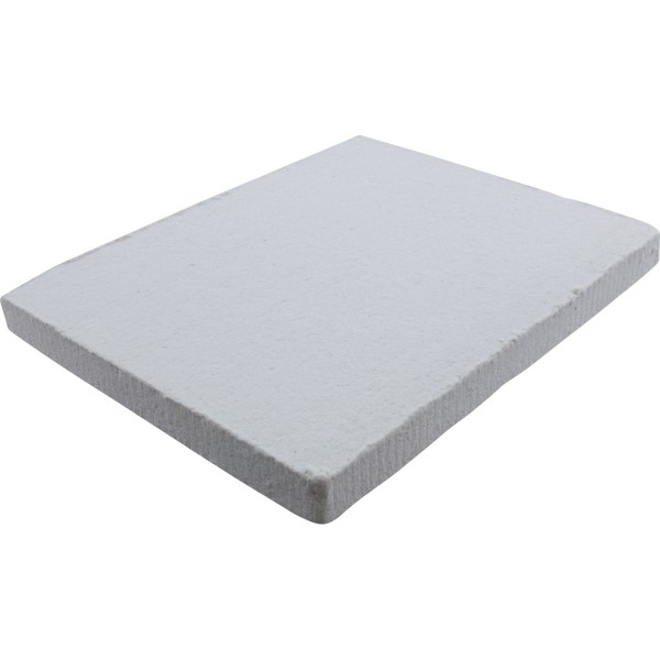 Insulation, Pentair Minimax 100, Front : 471061