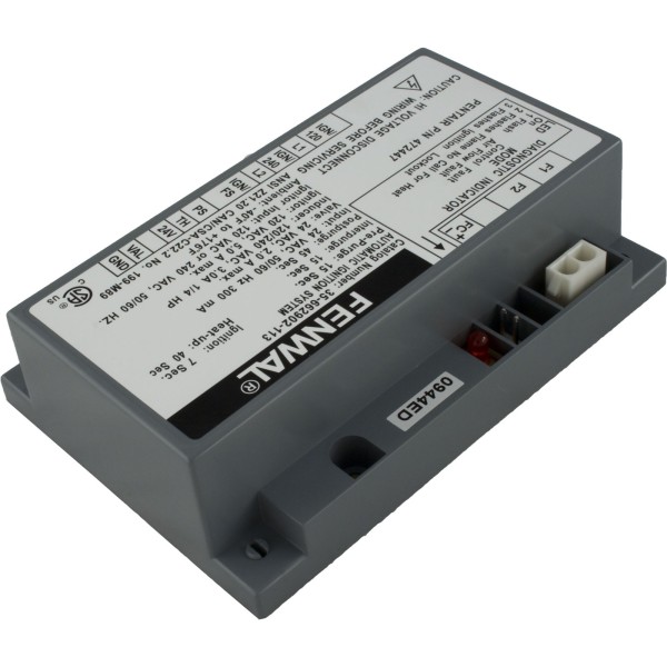 Ignition Control Module, Pentair Minimax NT, w/DDTC Control : 472447