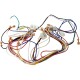 Wire Harness, Hayward Low NOx, 115v, Main : IDXLWHM1931
