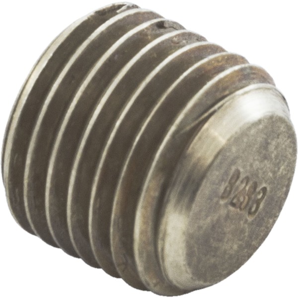 Header Plug, Raypak, 55B : 501329