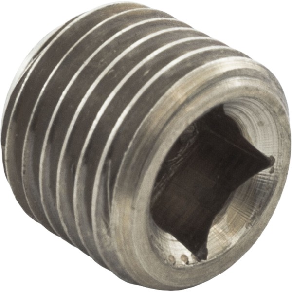 Header Plug, Raypak, 55B : 501329