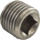 Header Plug, Raypak, 55B : 501329