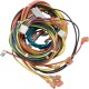 Wire Harness, Raypak R185B/206A, IID : 009490F