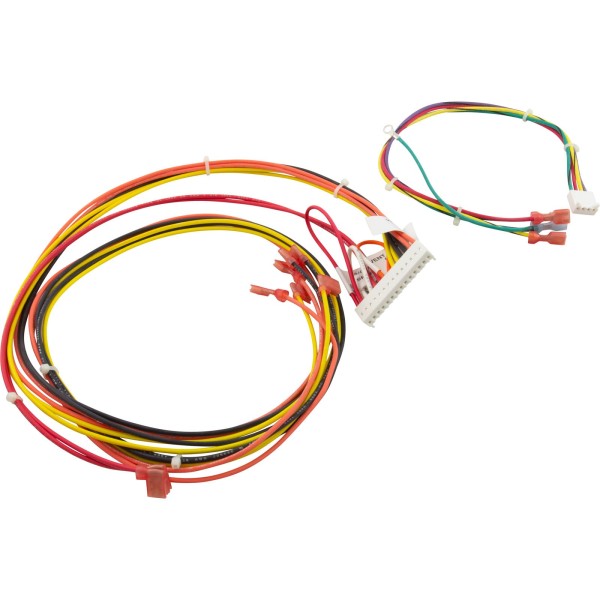 Wire Harness, Raypak 156A, Digital : 014885F