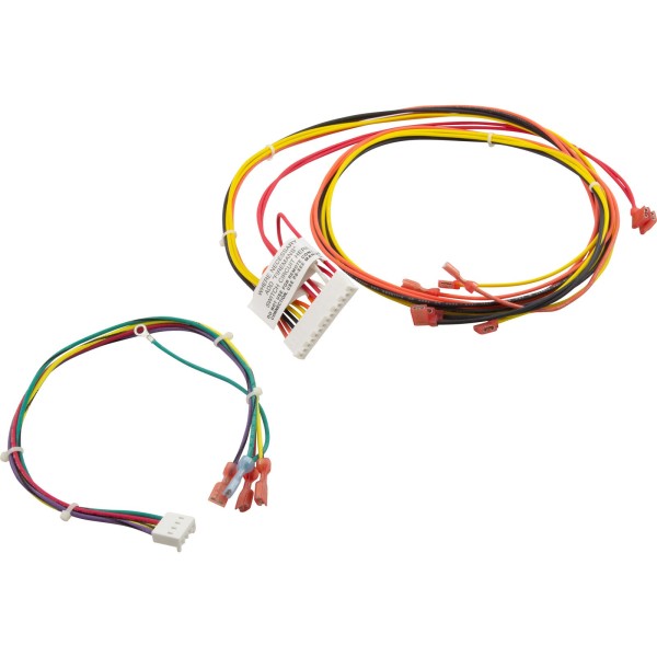 Wire Harness, Raypak 156A, Digital : 014885F