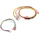 Wire Harness, Raypak 156A, Digital : 014885F