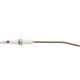 Flame Sensor, Lochinvar, With Gasket : 100165921
