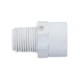 Male Adaptor, 1/2 Mpt x 1/2 Slip : 436-005
