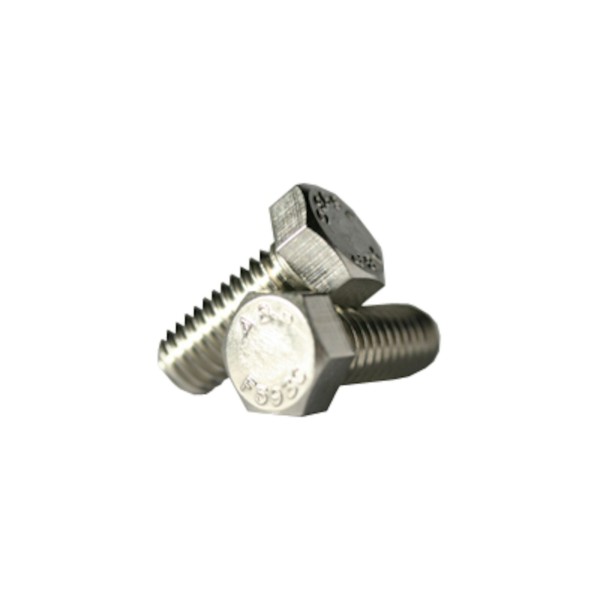 Screw, Cap, 1/4"-20 x 1" : 25C100HCSS