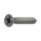 Screw, Skimmer Plate, No.12 x 1-1/4" : 819-0006