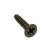 Screw, Skimmer Weir, Sundance : 6570-470