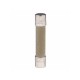 Fuse, MDA Slo Blo, 10 Amp : MDA-10