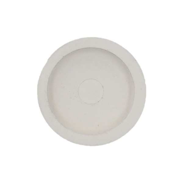 Filter Plug,WATERW,1" & 2" Top Load Filter,2" : 715-9900
