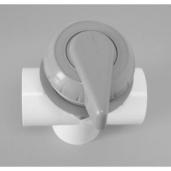 Valve Assy,Waterw,2 Port Divertr,Top Acc,Notchd,2"S,Gray : 600-3067