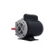 Motor, Marathon, Thru-Bolt, 48-Frame, 1-Speed, 3/4HP, 115V, 7.0 Amp : RB702