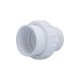 Union, Pump, Hayward 3500, 2" Slip x 2" MIPT : 6540-191
