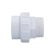 Union, Pump, Hayward 3500, 2" Slip x 2" MIPT : 6540-191