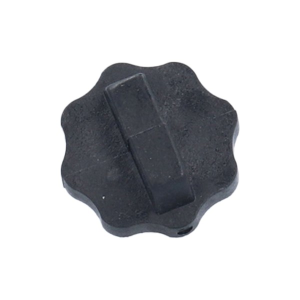 Drain Plug, Pump, Theramax/Theraflo, 1/4" : 6500-255
