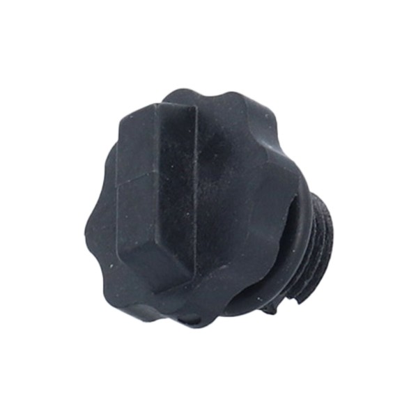 Drain Plug, Pump, Theramax/Theraflo, 1/4" : 6500-255
